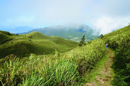 走在七星山步道上，一切塵囂雜音皆拋諸腦後／楊懷智攝