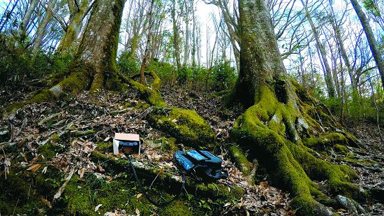 收錄環境整體聲景也是重要的資料記錄／孫清松攝