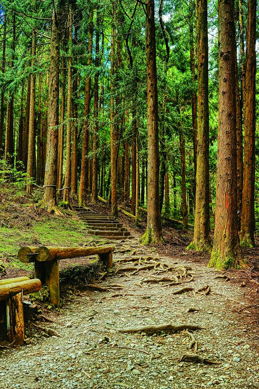 在旅途中歇歇腳，讓心靈沉澱，往往會有意想不到的收穫／楊懷智攝