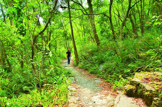 綠水步道是一條十分親民的步道