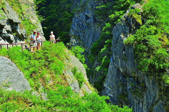 陡峻的岩壁上生長著耐旱的岩生植物