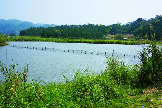  部分珍稀淡水魚類只分布在少數小型水域，極容易受到外來入侵魚種的危害（圖為雙連埤，為臺灣許多珍貴純種淡水魚類的棲地）／圖片來源：創用CC（https://upload.wikimedia.org/wikipedia/commons/c/ce/%E9%9B%99%E9%80%A3%E5%9F%A4_Shuanglian-pi_Lake_-_panoramio.jpg，lienyuan lee攝）