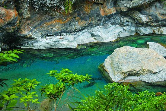  砂卡礑溪河段已有有臺灣石　和粗首馬口鱲等西部物種入侵／太管處提供