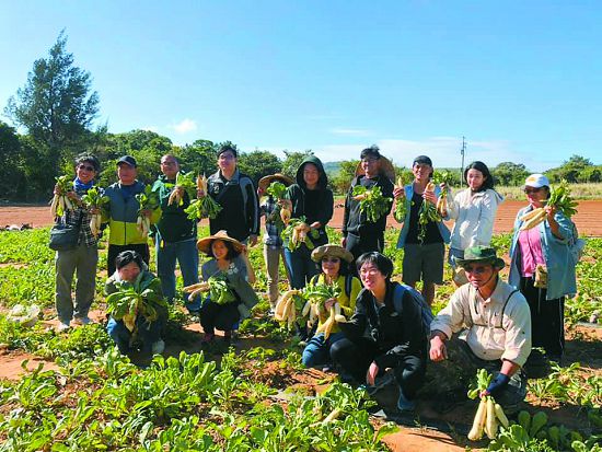 冬季的代表蔬菜就是白蘿蔔，學員一起體驗拔牛杙仔蘿蔔