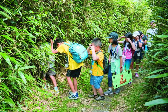 跟隨老鳥解說員穿梭密徑