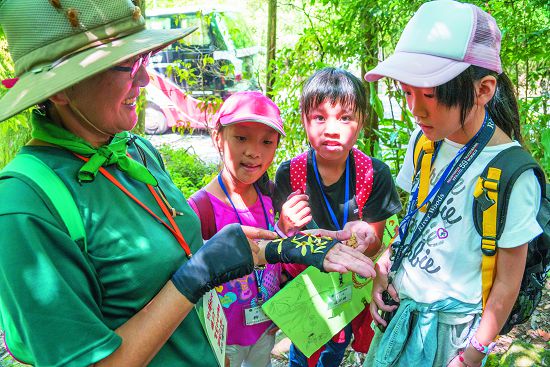 植物的種子型態不同,傳播方式也不同