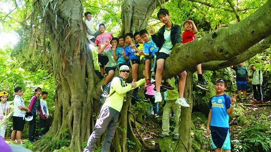 至南壽山進行戶外探索及爬樹,爬上大樹,用臺灣獼猴的角度看世界