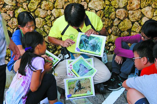 認識臺灣獼猴的肢體語言