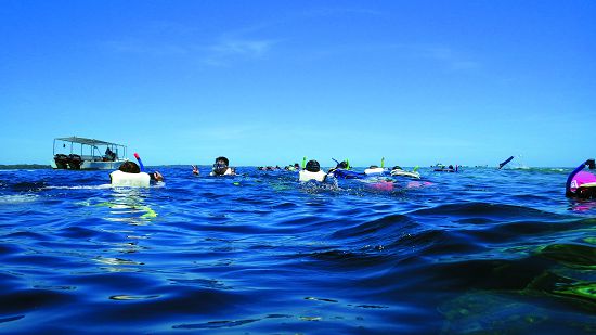 帛琉水上活動每年吸引大批遊客,而遊客們塗抹的防曬乳也在活動過程中溶入海水之中