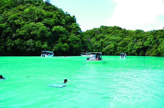 帛琉「負責任旅遊業教育法」讓國民、旅遊業者、遊客共同為維護帛琉美好的環境而努力