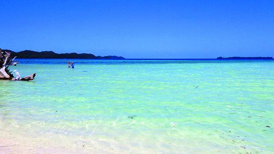 美好的環境是我們向未來的孩子借來的珍貴資產