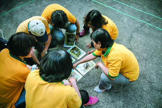 從「獼猴的臉書」瞭解獼猴的各種情緒及肢體語言表達