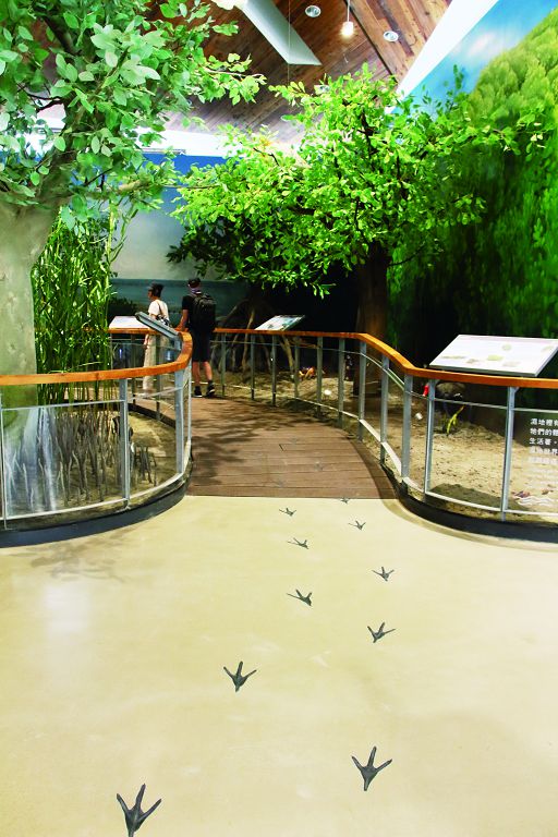 隨著鳥類的足跡進入遊客中心後，台管處更希望民眾帶著從這裡學習到的觀察重點，踏出戶外、感受台江／楊越涵攝