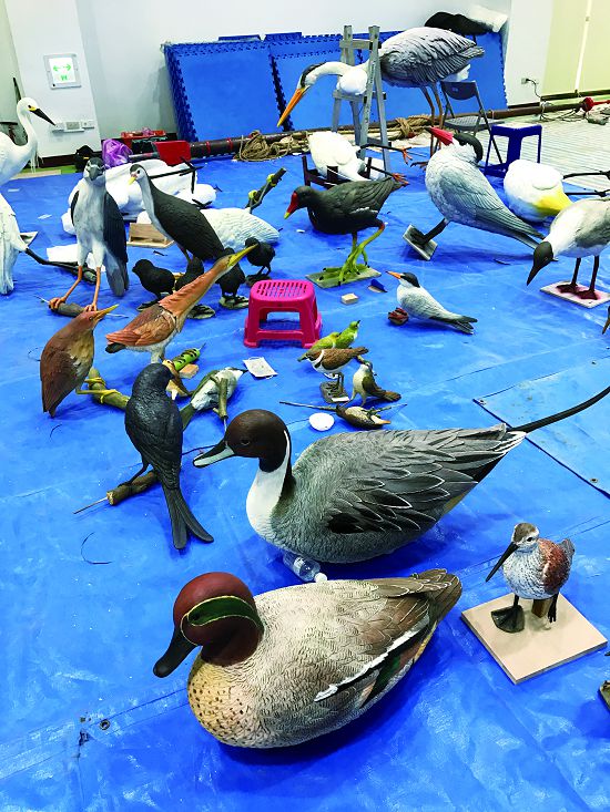 〔模型入場〕 台江遊客中心展場中，有牆面繪製、模型定位、環境塑造等不同施工環節，先後排程煞費苦心，只要一個環節配合不上，其它環節都會受到影響。