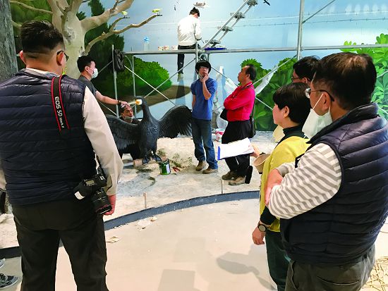  〔擺設確認〕 如何把動物擺設在合適的位置上，除了前期的規劃，也仰賴擺設時專家們在現場進行的微調，連鳥巢的位置及育雛的姿勢都十分講究。