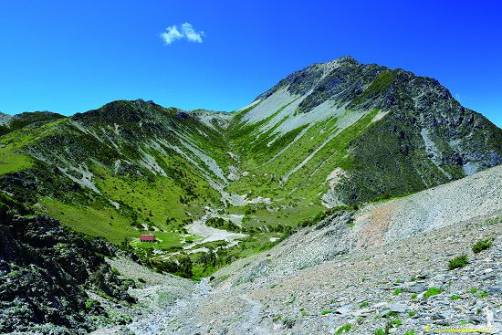 南湖圈谷迎東北季風，加上流動性岩屑地形，是孕育高山植物一處極佳的地理環境