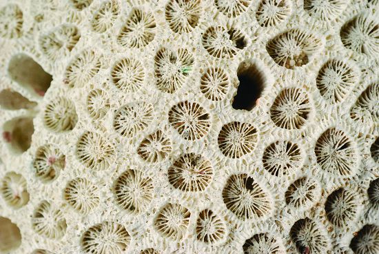 資料來源：創用CC（https://pxhere.com/）