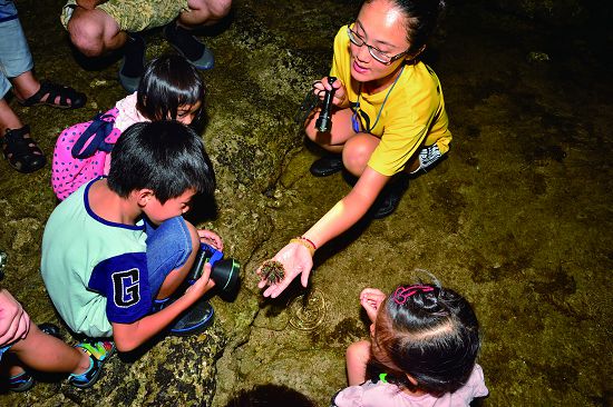 大光社區夜間潮間帶觀察（解說人員手持馬糞海膽（Tripneustes gratilla ），參與遊程請遵循解說員指示，千萬不要任意捕抓潮間帶生物）／陳忠能攝