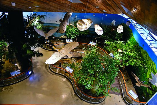 挑高3層樓的展示空間成為形塑台江遊客中心特色的起點／楊越涵攝