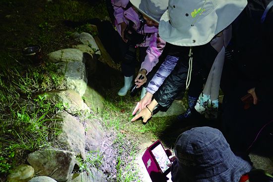 有趣的夜間觀察，安全第一