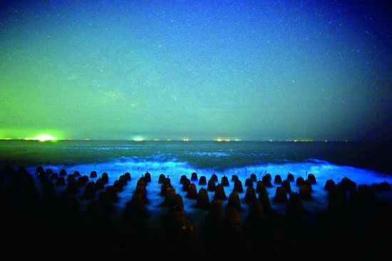 藍眼淚映照滿天星斗的畫面的取得， 需要靠較長時間曝光的照相技術／ 許進西攝