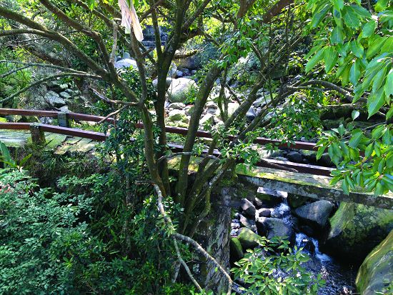 1870年代因種茶而修築的三板橋（三德橋旁）／王姵琪提供