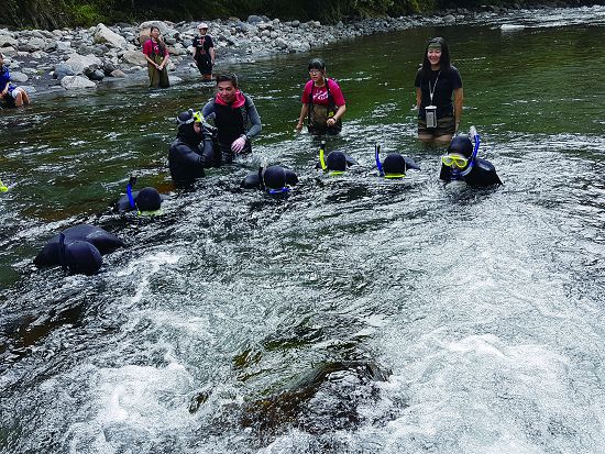 12℃的七家灣溪水,讓大家體會了調查人員的辛勞