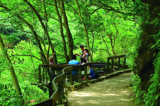 太魯閣國家公園人文及自然生態豐富多元（砂卡礑步道）／林茂耀攝