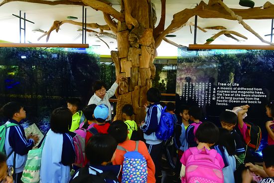 帶領見晴國小學童到「太魯閣遠足趣」，認識太魯閣國家公園