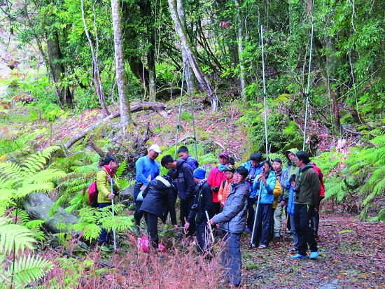 學員們正聚精會神聆聽如何架設蝙蝠網／陳清圳提供
