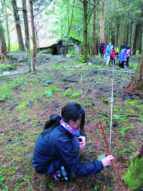 植物樣區調查，了解森林的組成／陳清圳提供
