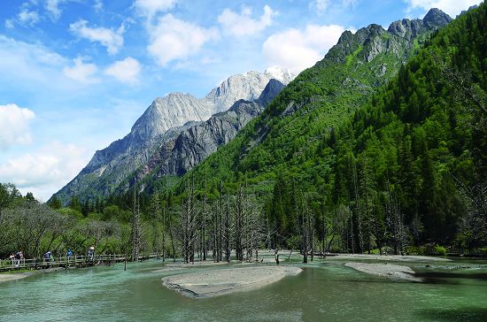 長坪溝枯樹灘景觀
