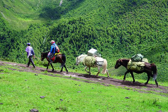 海子溝旅遊騎馬遊憩服務