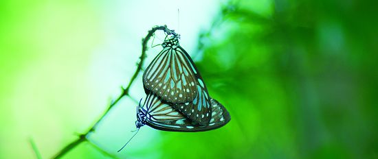 每一個人的心中,都有一個小宇宙──