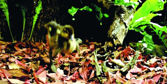 落地前的一霎那