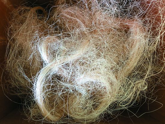 瓊麻葉部纖維抗鹼、耐腐,且可以承受高度拉力,成為製作船纜的優良材料