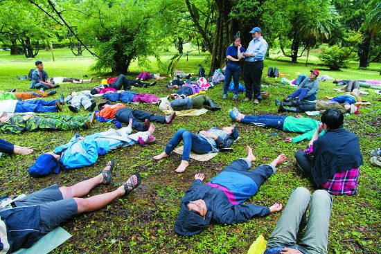 心流學習法,讓人信任自己的感官,召回和自然的連結/陽管處提供
