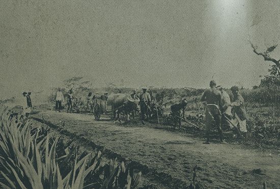 日治時恆春麻場