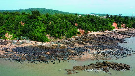 烈嶼后頭潮間帶