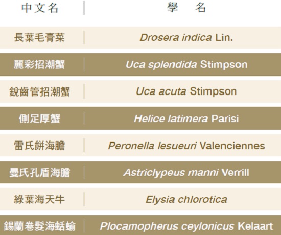 生物學名對照表