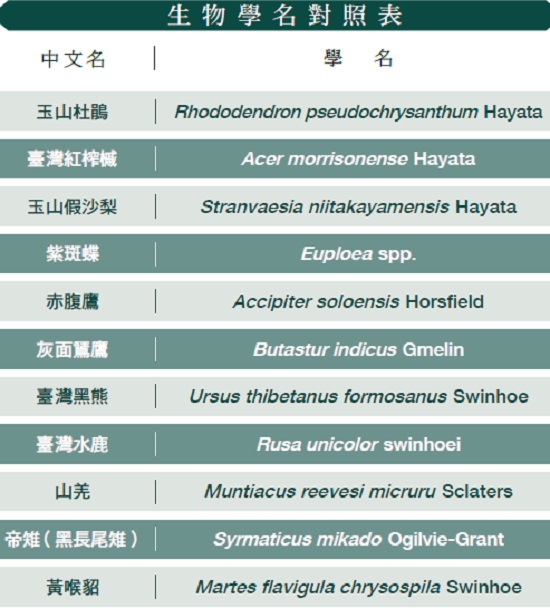 ＊依文中出現順序排列。