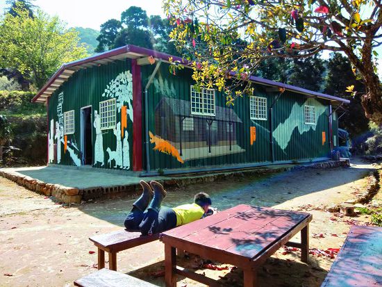 大禮部落的小朋友悠閒地在林下休息