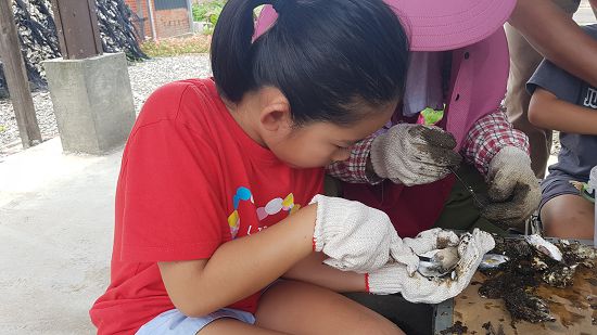 小心翼翼認真學剝蚵