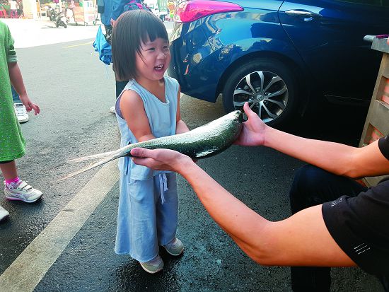 買條大魚回家煮