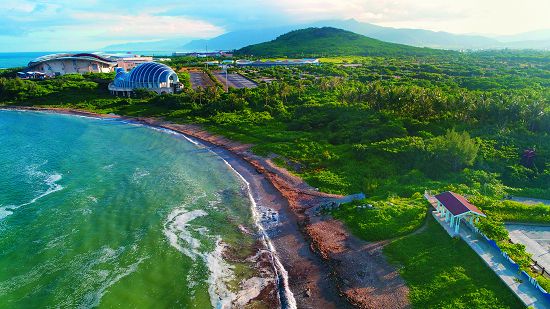 後灣擁有豐富的海岸林生態,也是陸蟹的重要棲地/陳忠能攝