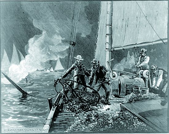 Schell and Hogan 於1884年所繪製的「牡蠣海盜」(Oyster_pirates),所指的是在公共水域違法捕撈牡蠣的不肖業者,這樣的行為在乞沙比克灣 也甚是猖獗/資料來源:創用CC(https://www.loc.gov/pictures/item/2002698359/)