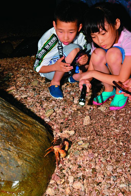 何時可以觸摸?何時不應觸摸?這些是觸摸生物前的重要功課/陳忠能攝