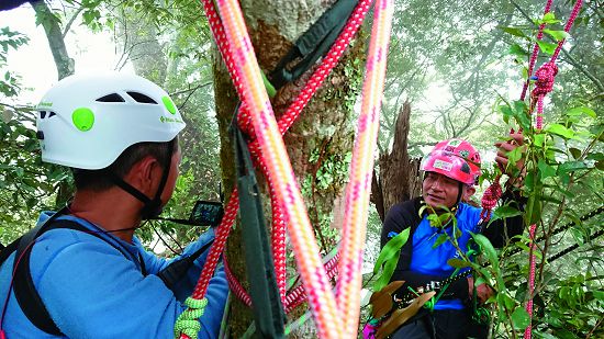 拍攝團隊克服樹冠層的高度進行取景/許鴻龍攝