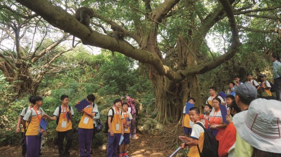 人猴共處之道,從小學起