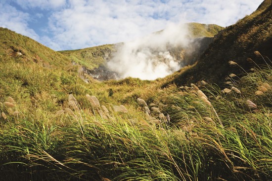 臭雞蛋般的硫磺味,是陽明山國家公園最具代表性的氣味/楊懷智攝